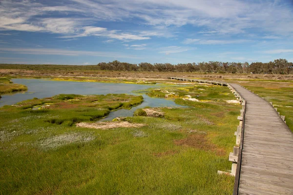 boardwalk path leading towards bird hide for watching wild animals, on the coastal wetland and mud flats of West Coast National Park