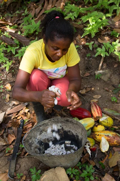 Mujer Pelando Grano Cacao Viaje Disparo — Foto de Stock