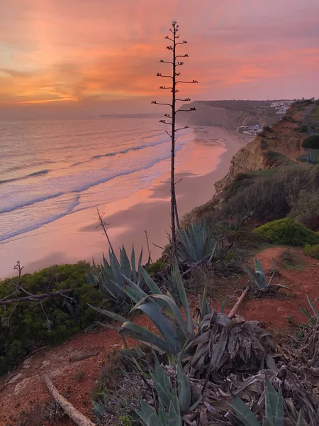 Puesta Sol Vista Costa Del Mar Rocoso — Foto de Stock