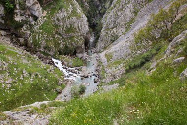 Yeşil çimenli ve mavi gökyüzü olan dağ manzarası