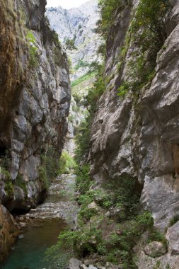 Nehir yeşilliklerle dolu iki kayanın arasından akıyor.