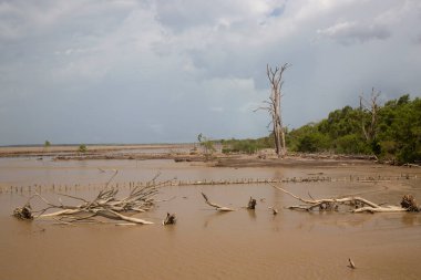 Parktaki güzel doğa