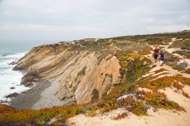 Güzel bir kumsal görüntüsü. 