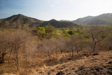 Kuru dağlık manzaranın güzel manzarası 