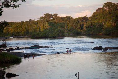 Ormandaki nehrin güzel manzarası 
