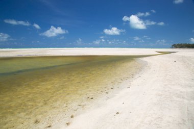 Güzel tropikal plaj manzarası