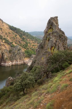 Nehirli güzel dağ manzarası