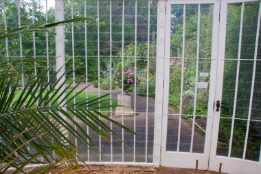 Glasshouse 'un içi.