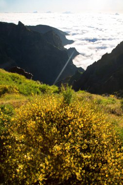 Dağları ve bulutları olan güzel bir manzara