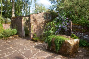 Yazın güzel bahçe manzarası