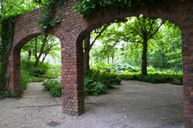 Yazın güzel bir bahçe