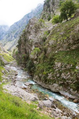 Dağlardaki dağ nehri