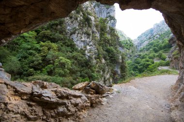 Dağların güzel manzarası