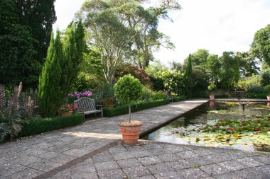 Yazın güzel bahçe manzarası