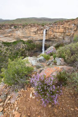 Dağlarda güzel bir şelale 