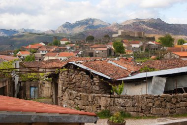 Feira, Portekiz 'in Santa Maria da Feira eyaletinde yer alan bir şehirdir.