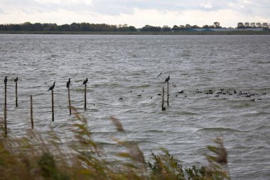 Gündüzleri nehir olan güzel bir manzara.