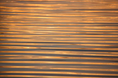 Dalgalı su yüzeyi, doğal arka plan