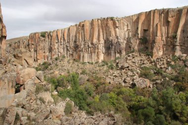 Ihlara Vadisi kanyonu. Nehir kıyısında yeşil ağaçlar var. Kanyon zemininde yüzüyor.