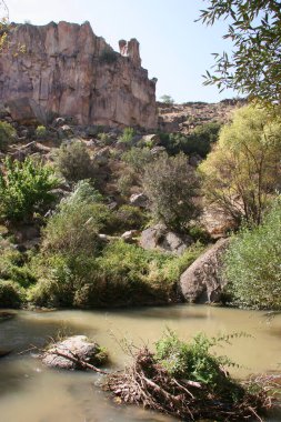 Ağaçlar ve nehirlerle dolu güzel bir manzara.