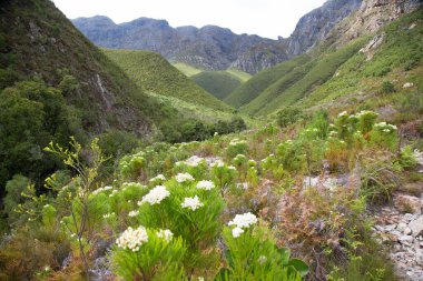 Dağları ve nehri olan güzel bir manzara.