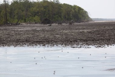 Doğanın güzel manzarası