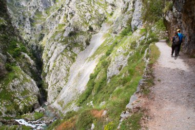 Dağlarda yürüyüşçüler, Kuzey İspanya.