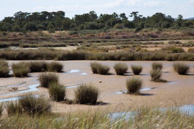 Sel basmış güneş manzarası