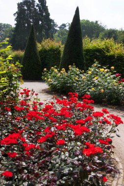 Yeşillik ve çiçek açan güzel botanik bahçesi