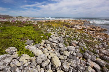 Pasifik Okyanusunda kayalık bir sahil
