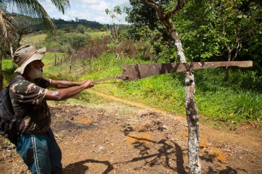 Orman sahnesinde ağaç kesen adam, seyahat sahnesi