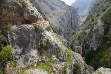 Yazın güzel dağ manzarası