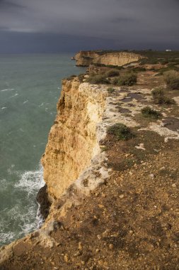 Deniz kıyısının güzel manzarası