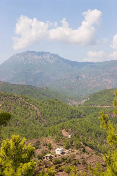 Tipico Paesaggio Selvaggio Aspro Altopiano Montuoso Macchia — Foto Stock