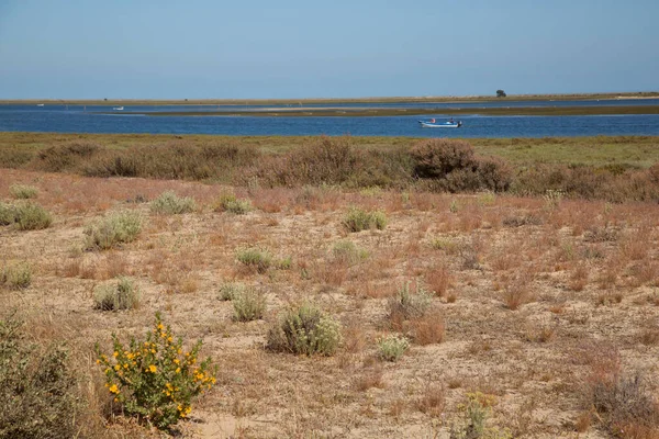 View Dry Land Scene Lake Blue Sky — Stock Photo, Image