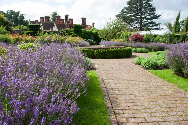 Krásná Botanická Zahrada Jay Robins Rose Garden — Stock fotografie