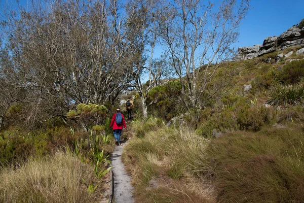 Turistas Irreconhecíveis Com Mochilas Nas Montanhas Conceito Caminhada Nas Montanhas — Fotografia de Stock