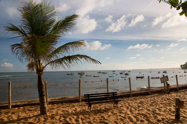 美丽的海滩 有棕榈树和蓝天 — 图库照片