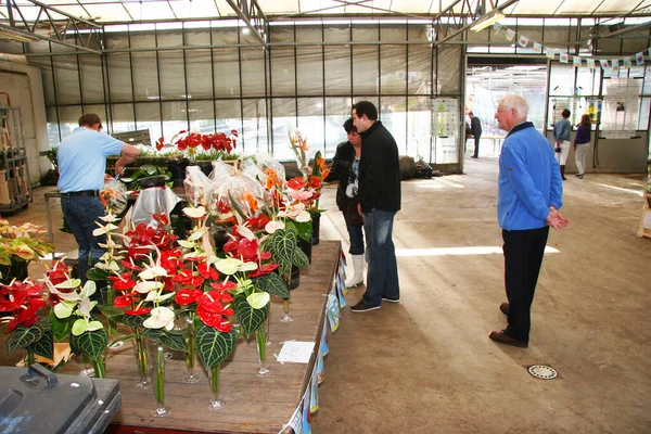 People Choosing Flowers Market — Fotografia de Stock