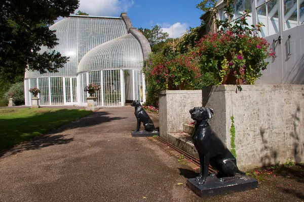 Estátuas Cães Perto Estufa Parque — Fotografia de Stock