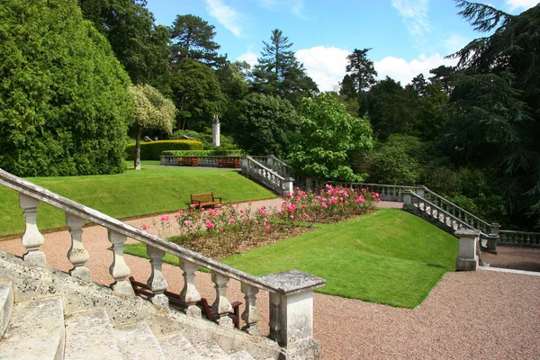 Beautiful View Flower Beds Summer — Stock Photo, Image