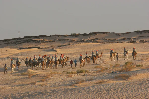 Vista Pessoas Montando Camelos Deserto — Fotografia de Stock