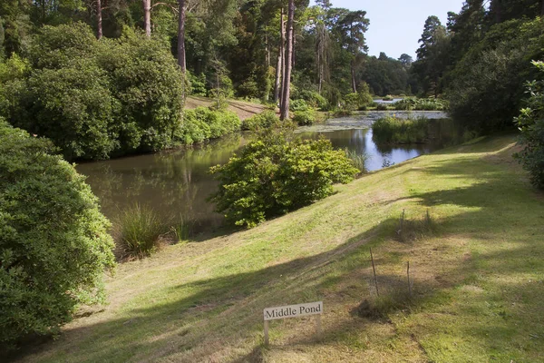 Vacker Utsikt Över Floden Parken — Stockfoto