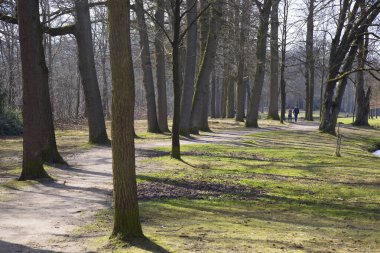 Parkın güzel manzarası