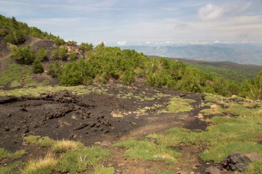 Dağ manzarası harika.