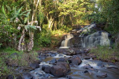 Tropikal ormanda akan kayalık nehir manzarası