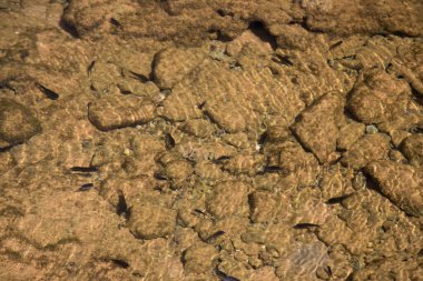 Büyük taşlı ve balıklı deniz kumu 