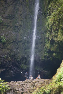 Ormanda güzel bir şelale 