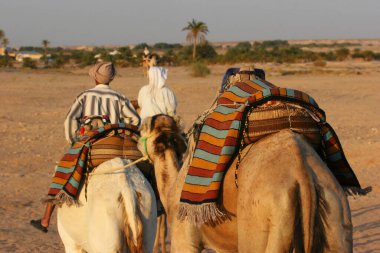 Çölde develerin üzerinde gezen insanların manzarası.