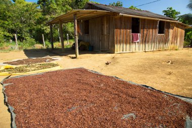 Köydeki eski ahşap ev.